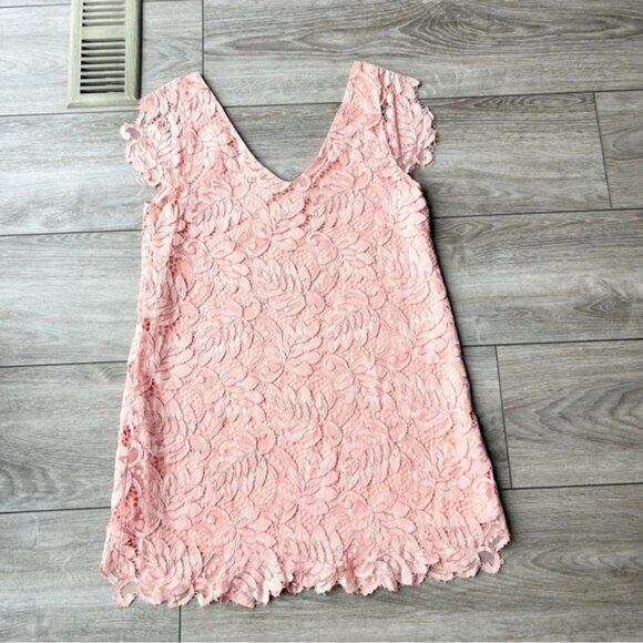 BB Dakota Rene Deep V Neck Lace Shift Dress - Picture 11 of 13